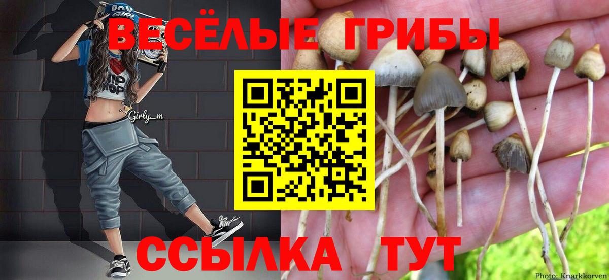Псилоцибиновые грибы прущие грибы Феодосия